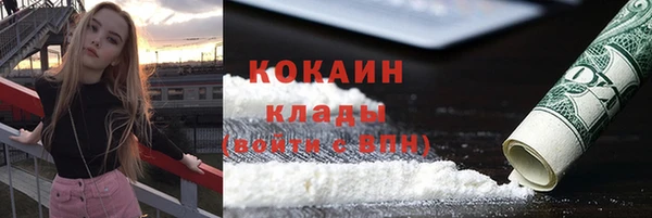 шишки Касимов