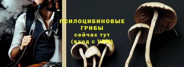 прущая мука Карталы