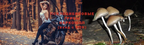 2c-b Карпинск