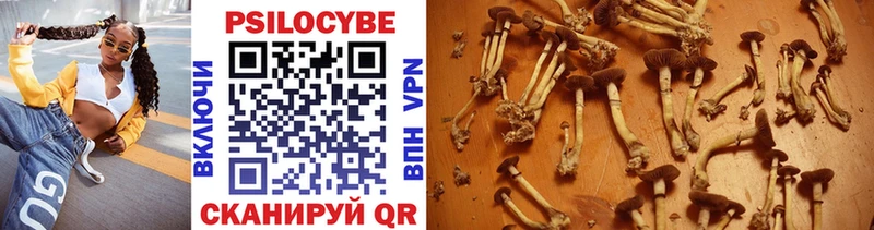 МЕГА зеркало  Корсаков  Галлюциногенные грибы Psilocybine cubensis 