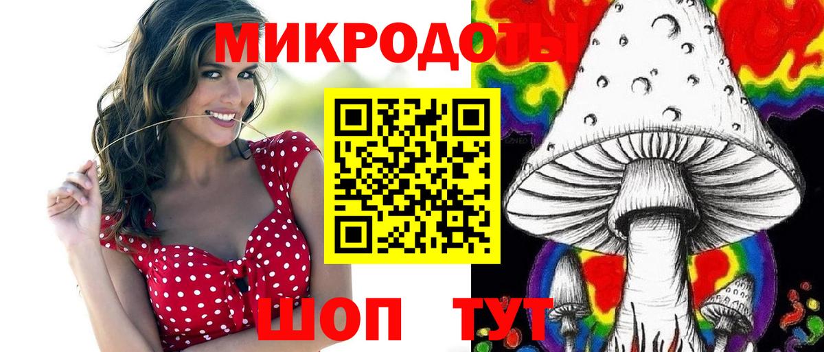 Псилоцибиновые грибы Psilocybe Корсаков