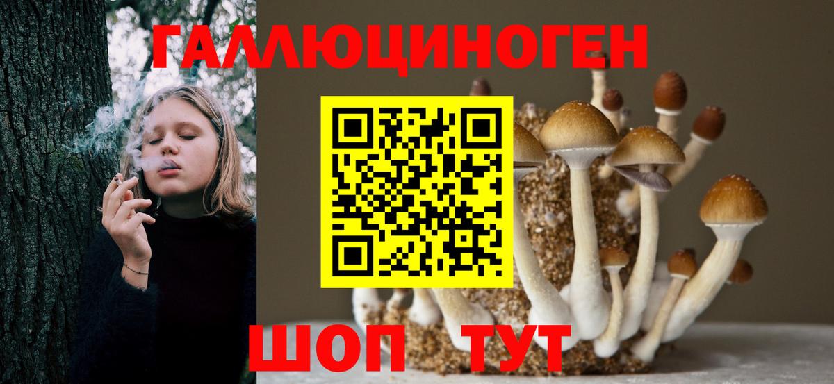 Галлюциногенные грибы Cubensis  Вход с VPN  Корсаков 